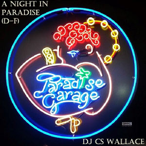 A Night In Paradise (D-F)-FREE Download!